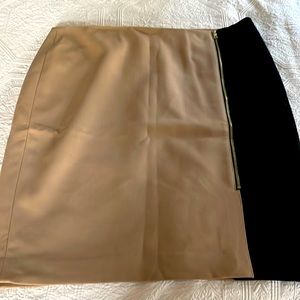 Ann Taylor pencil skirt